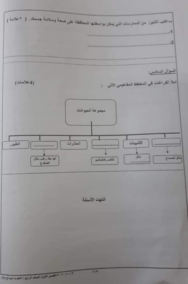 NDkyNTAzMQ99994 نموذج A وكالة امتحان العلوم نهائي للصف الرابع الفصل الاول 2019